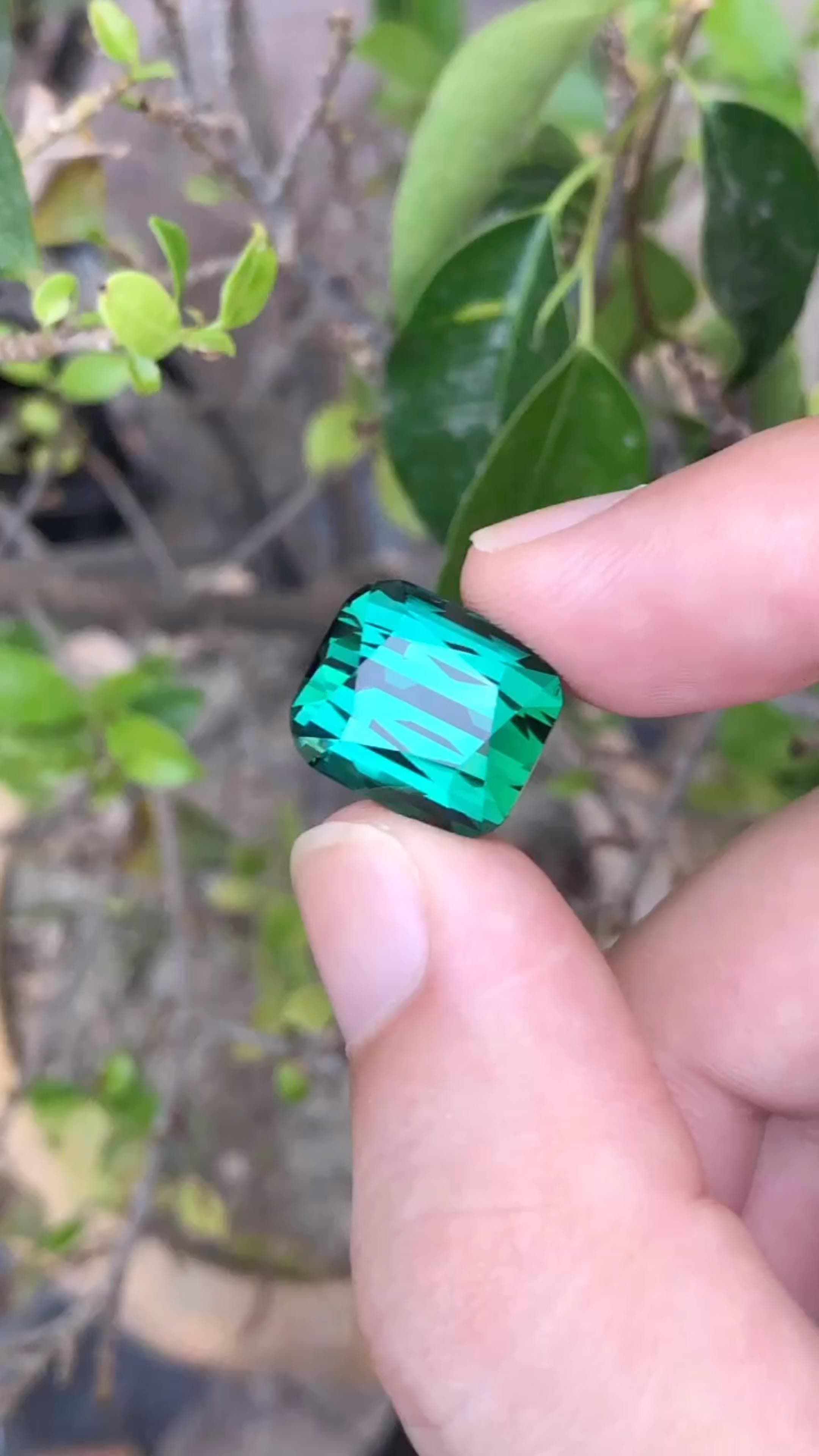 Tourmaline 22.50 ct