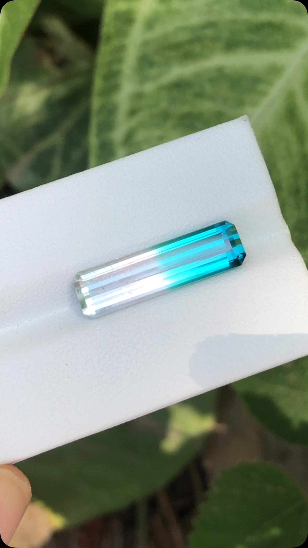 bicolour 7.00 ct
