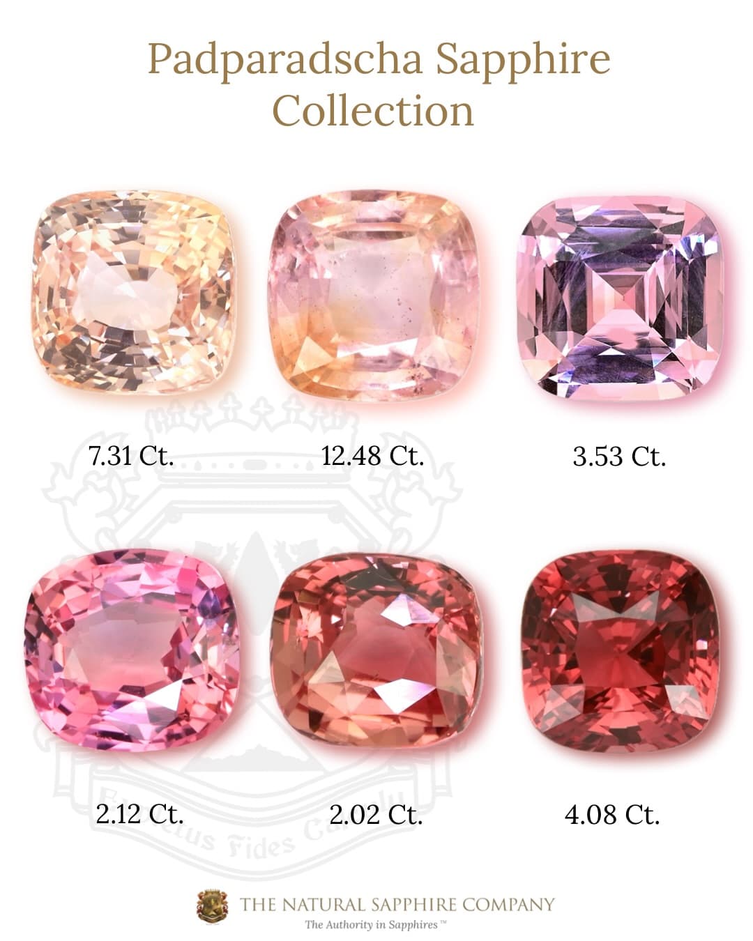 Padparadscha 31.54 ct