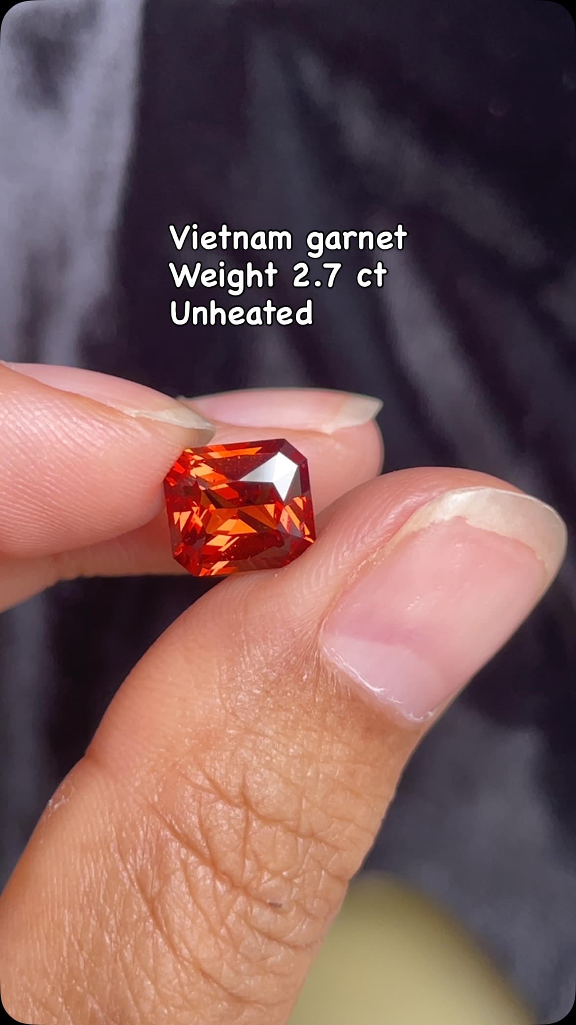 Garnet 2.70 ct