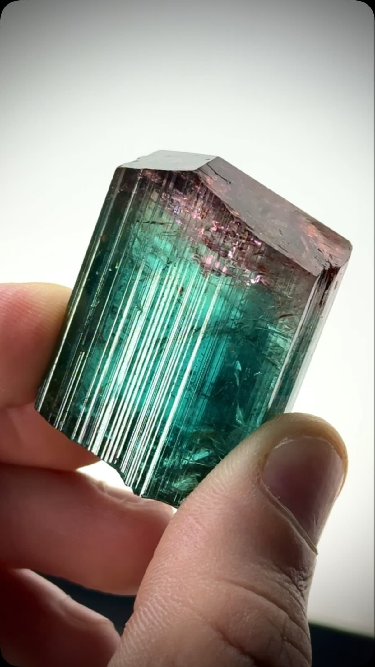 Tourmaline 245.00 ct