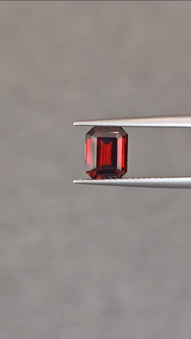 Garnet 0.00 ct