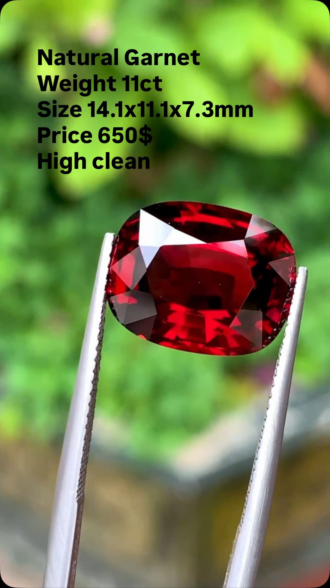 Garnet 11.00 ct