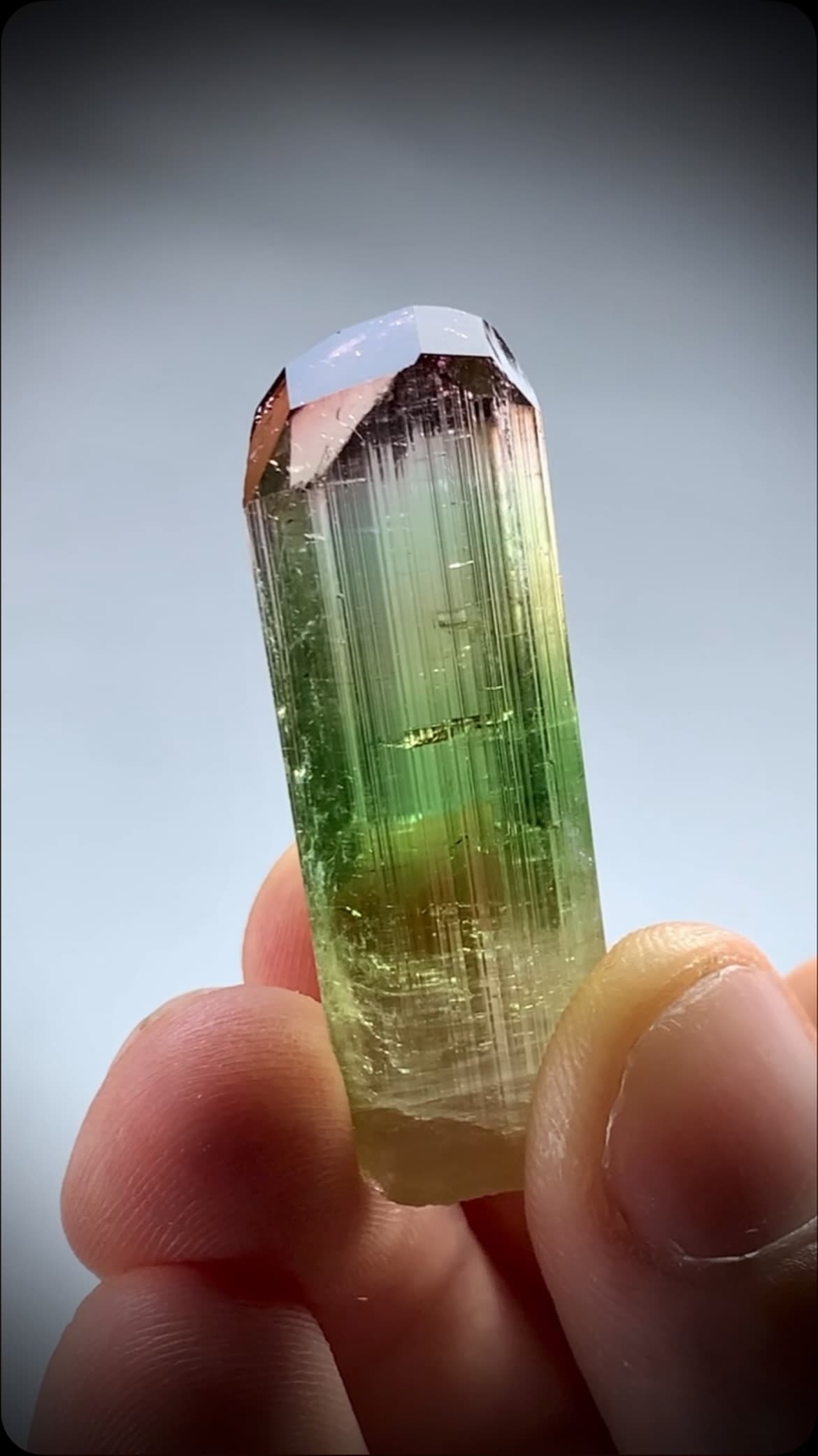 Multicolor 0.00 ct